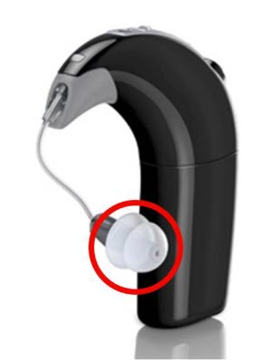 nucleus6_eas_powdome_20200820090812